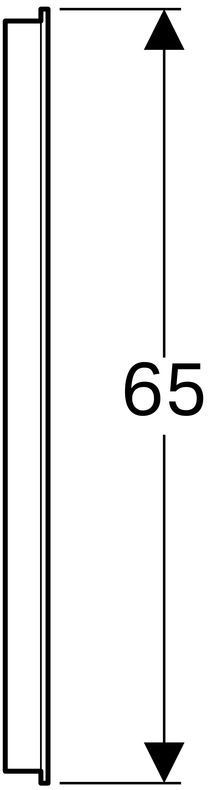 ������� Geberit Option � ��������������  ����������, 900�650�36 ��