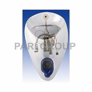   KOLO FELIX  :  26000-000,  A99021,      ,    ,  . 