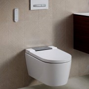 Унитаз-биде Geberit AquaClean Sela, подвесной, безободковый, технология омывания WhirlSpray, пульт дистанционного управления, настраиваемая подсветка, дамский душ, 56,5х37,5х33 см, вставка - глянцевый хром, белый